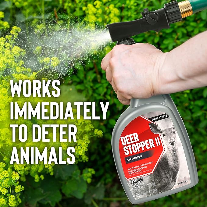 Deer Stopper II, Liquid Animal Stopper Repellent, All Natural, Effective All Year Round, Safe for People and Pets, No Harsh Chemicals, Ready to Use, Deer & Elk Repellent - 1 Gallon Concentrate