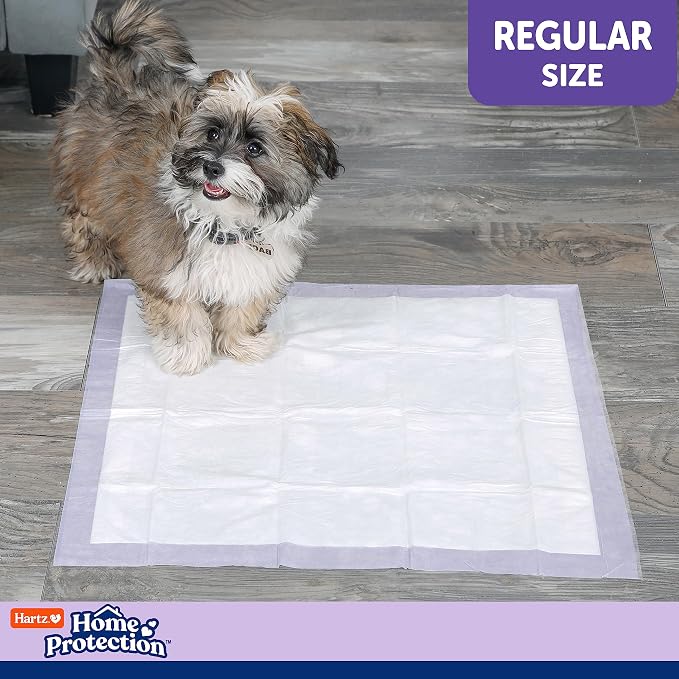 Hartz Home Protection Lavender Scented Odor Eliminating Dog Pads, 21 x 21 (100 Count) (Pack of 2)