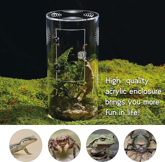 Acrylic Terrarium for Reptiles & Spiders – Small/Medium/Large Leak-Proof Enclosure (Horizontal/Vertical) | Ideal for Tarantulas, Jumping Spiders, Frogs & Geckos(Large, Round)