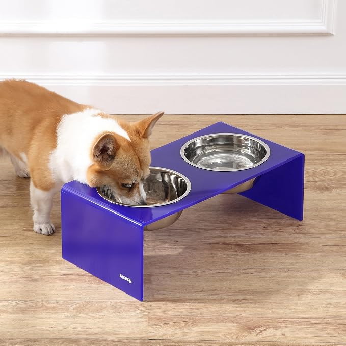 DBL2001F Keaton 7.5" Medium/Large Modern Acrylic Rectangular Elevated Pet Feeder with 54oz 2-Stainless Steel Bowls, Purple/Chrome