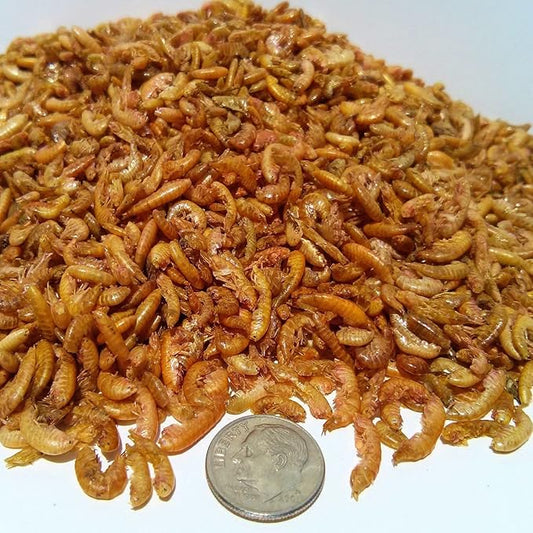 Aquatic Foods Inc. Gammarus - Freeze Dried Gammarus for Small & Medium Tropical Fish, Cichlids, Groumis, Catfish, Marine Fish, Corals, Anemones, Baby Koi and Pond Fish - 1/8-lb