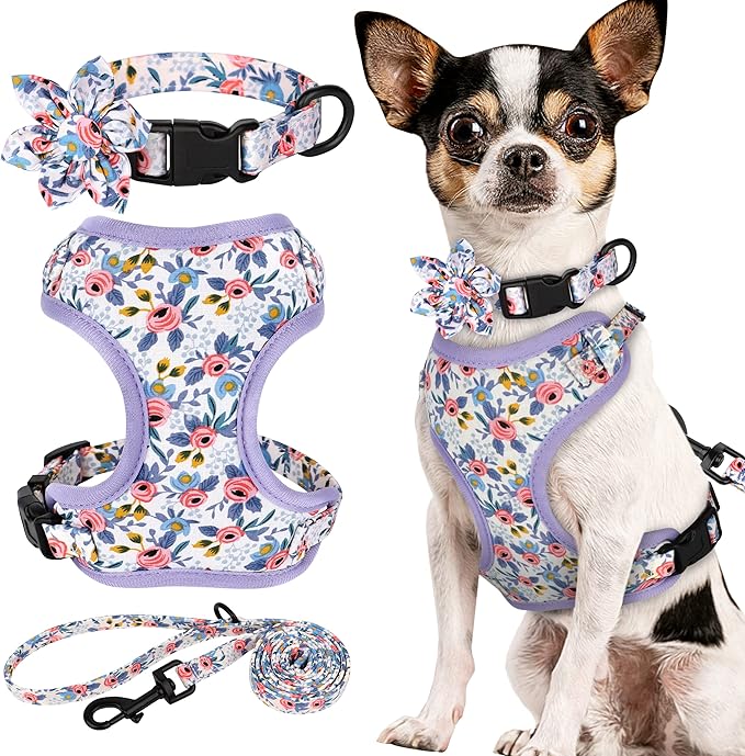 Beirui Cute Dog Collars,Harnesses,Leashes Set, Floral Pattern, Blue,XXS | Girl Dog Harness Set with Flower, Adjustable and Soft Mesh Lining, For Puppies Small & Extra Small Dogs Daily Walks