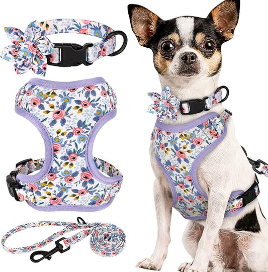 Beirui Cute Dog Collars,Harnesses,Leashes Set, Floral Pattern, Blue,XXS | Girl Dog Harness Set with Flower, Adjustable and Soft Mesh Lining, For Puppies Small & Extra Small Dogs Daily Walks
