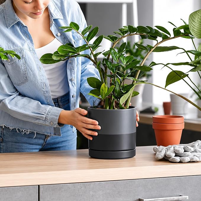 D'vine Dev 6.5 Inch Ceramic Planter Pot, Slate, 94-O-C-5 | Modern Cylinder Design, Drainage Hole & Saucer Included, Stable Structure, Elegant Home Accent