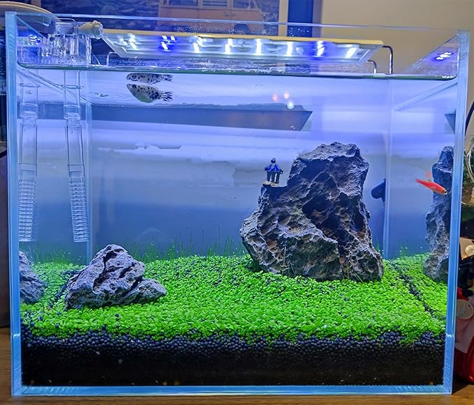 4 Bags Aquarium Plant S.e.e.ds, not Artificial Plastic Plant, Fish Tank Live Grass for All Substrate (0.36ozTiny+0.36oz Long+0.36oz Short+0.36oz Big Dual) ZQV-010