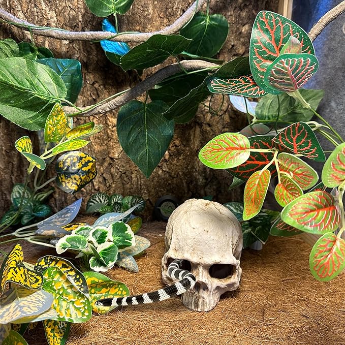 Tfwadmx 11Pcs Human Skull Decor with Plants, Snake Hide, Gecko Tank Accessories, Resin Skull with Climbing Vines Reptile Terrarium Tank Decor for Tarantulas, Lizards