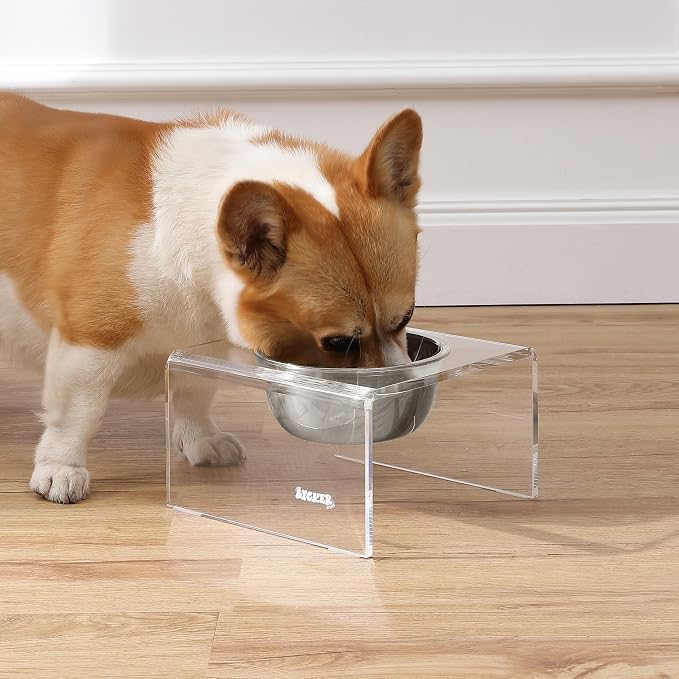 DBL2002A Keaton 5" Small/Medium Modern Acrylic Rectangular Elevated Pet Feeder with 20oz 1-Stainless Steel Bowl, Clear/Chrome