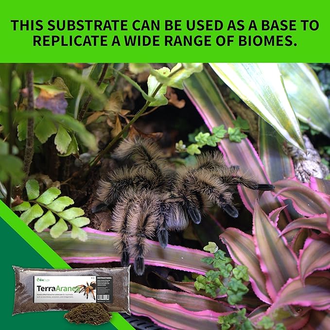 The Bio Dude Terra Aranea Bioactive Substrate for Tarantula, Scorpion, Spider, Isopod Habitat 18 quarts for terrariums, vivariums or Clean up Crew culturing.