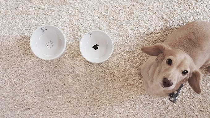 Necoichi Raised Dog Food Bowl, Elevated, for dogs and cats, pets feeding feeder Non-slip for small dogs Dishwasher and Microwave Safe, No.1 Seller in Japan! (Dog, Food Bowl)