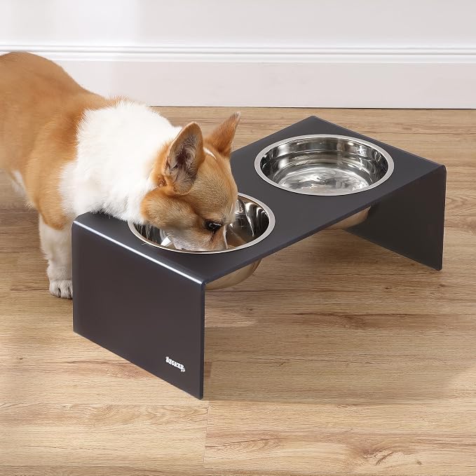 DBL2001J Keaton 7.5" Medium/Large Modern Acrylic Rectangular Elevated Pet Feeder with 54oz 2-Stainless Steel Bowls, Dark Gray/Chrome