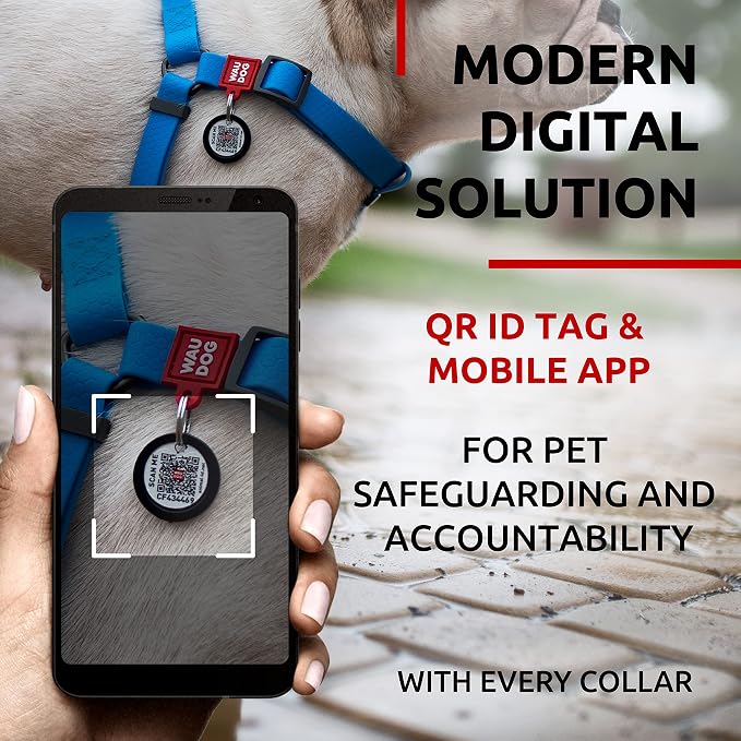 WAUDOG Waterproof Adjustable Dog Harness - Heavy Duty with Durable Metal Clasp and QR Dog Tag - Boy & Girl (20-32in Blue)