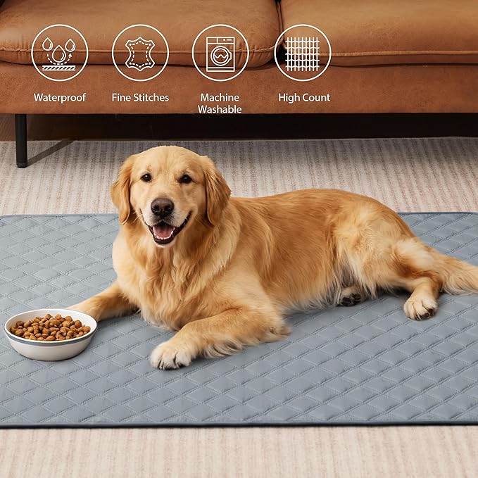 Eterish Reusable Washable Pee Pads for Dogs Large/Extra Large 31'' x 36'' 4 Pack, Absorbent Pet Puppy Dog Training Pads Non-Slip, Waterproof Whelping Potty Pads for Dogs Leak-Proof
