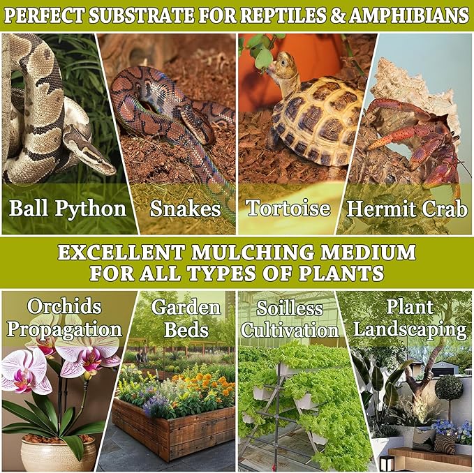 ZeeDix Coconut Husk for Reptiles, Organic Coconut Fiber Reptile Terrarium Substrate, Coco Husk Chips Reptile Bedding for Snakes, Tortoises, Ball Python, Geckos, Lizards, Hermit Crab, Tarantula
