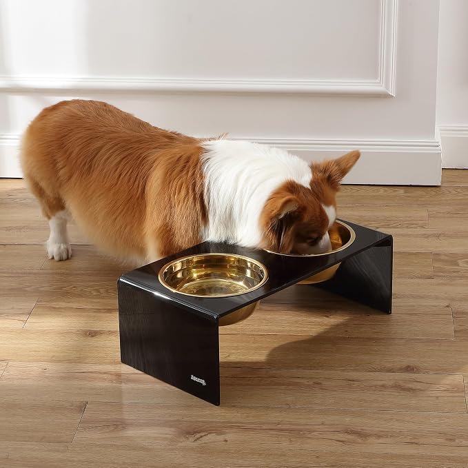 DBL2001B Keaton 7.5" Medium/Large Modern Lucite Rectangular Elevated Pet Feeder with 54oz 2-Stainless Steel Bowls, Black/Gold