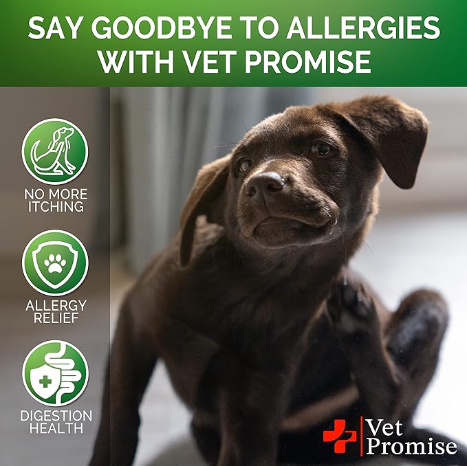 Dog Allergy Relief Chews - Dog Itch Relief Treatment - Anti Itch - Itchy Skin - Dry Skin & Hot Spots - Immune Health Supplement with Probiotics, Omega 3 Fish Oil, Colostrum - Made in USA - 120 Treats
