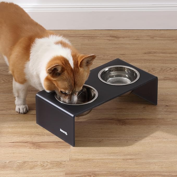 DBL2000J Keaton 5" Small/Medium Modern Acrylic Rectangular Elevated Pet Feeder with 20oz 2-Stainless Steel Bowls, Dark Gray/Chrome