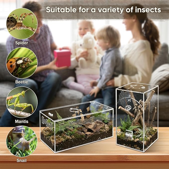 Jumping Spider Enclosure Set, Terrestrial Arboreal Combo, Acrylic Tarantula Terrarium, Praying Mantis Habitat, No Assembly, 2-Size Kit, Large