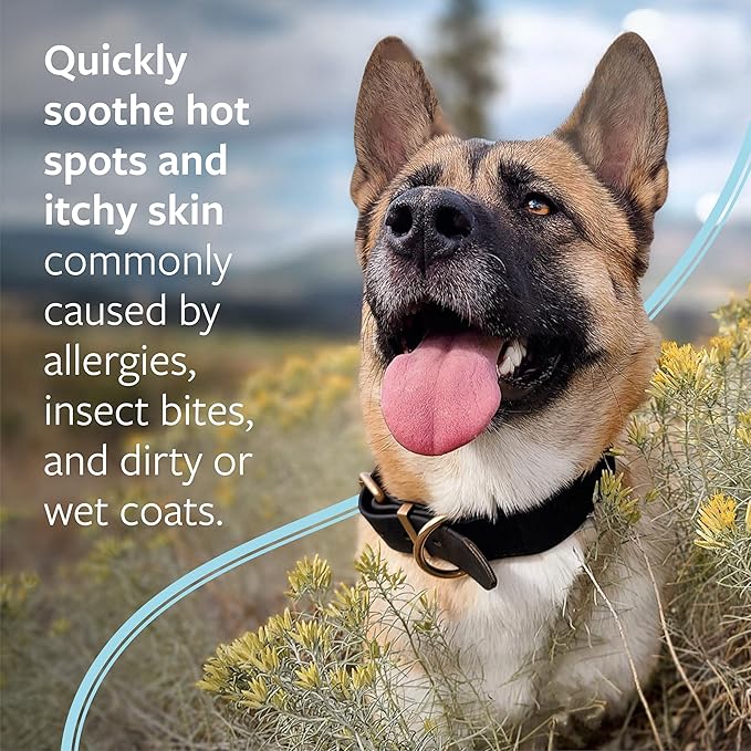Veterinary Formula Clinical Care Hot Spot & Itch Relief Medicated Shampoo for Dogs and Cats 16oz – Helps Alleviate Sensitive Skin, Scratching, and Licking of Coat