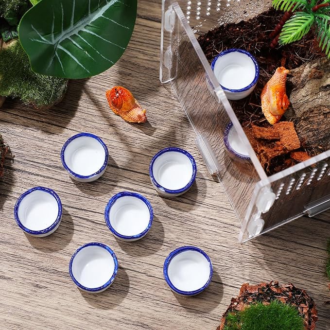 12pcs Small Ceramic Water Feeder Bowls and Spiders Mini Reptile Tank Water Containers Terrarium Basins for Small Pets