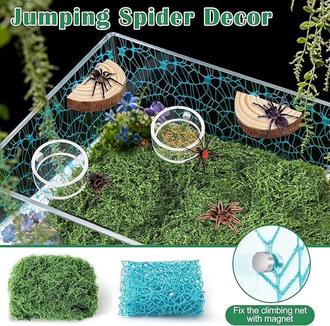 Windspeed 8Pcs Jumping Spider Enclosure Stuff Kit with 2 Jumping Spider Enclosure Ledges 2 Tarantula Feeding Dish 1.8 Ounce Fake Moss 1 Dropper 1 Clamp