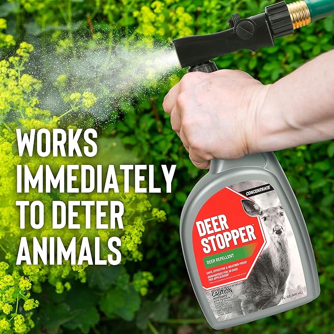 Deer Stopper, Liquid Animal Stopper Repellent, All Natural, Effective All Year Round, Safe for People and Pets, No Harsh Chemicals, Ready to Use, Deer & Moose Repellent - 1 Gallon Concentrate