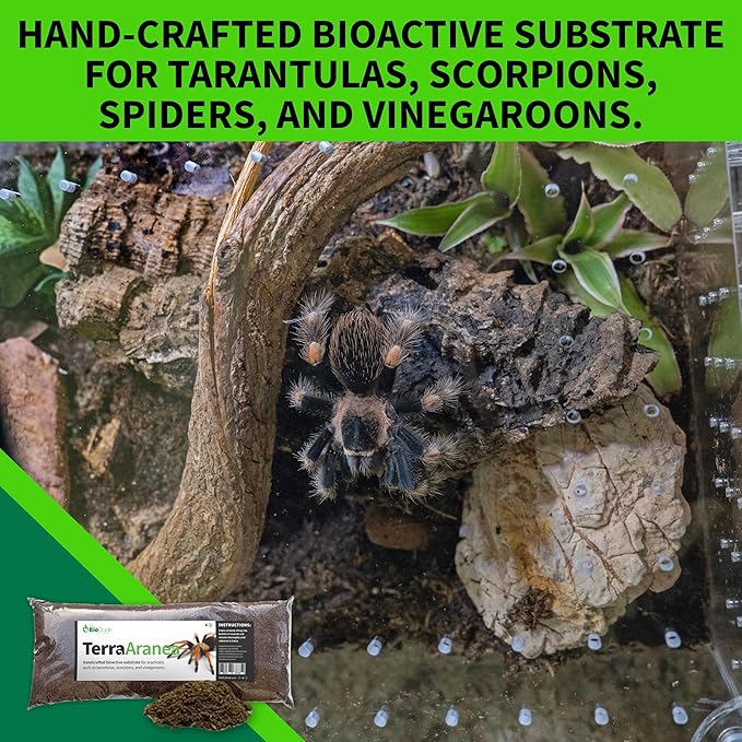 The Bio Dude Terra Aranea 6 quarts Bioactive Substrate for Tarantulas, Centipedes, Scorpions, Isopods and Millipedes Terrarium and Vivarium Habitat Bedding for invertebrates