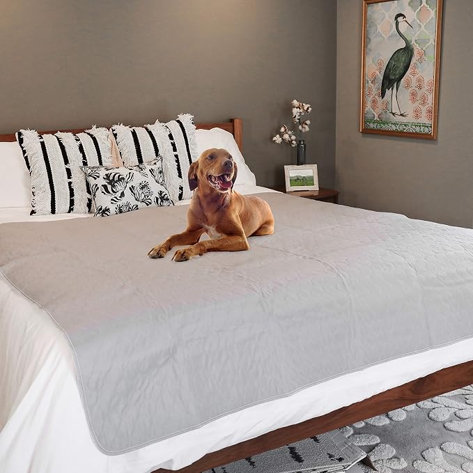 rocket & rex Premium XL Non-Slip Washable Dog Playpen Mat (60"x60") | For whelping, potty training & travel. OEKO-TEX certified, chemical-free.