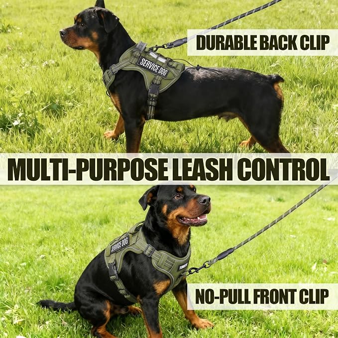 Service Dog Tactical Vest Harness and Leash Set Large Sized Dog Emotional Support- Tactical Dog Harness Training Collar with Name (Army Green, M)