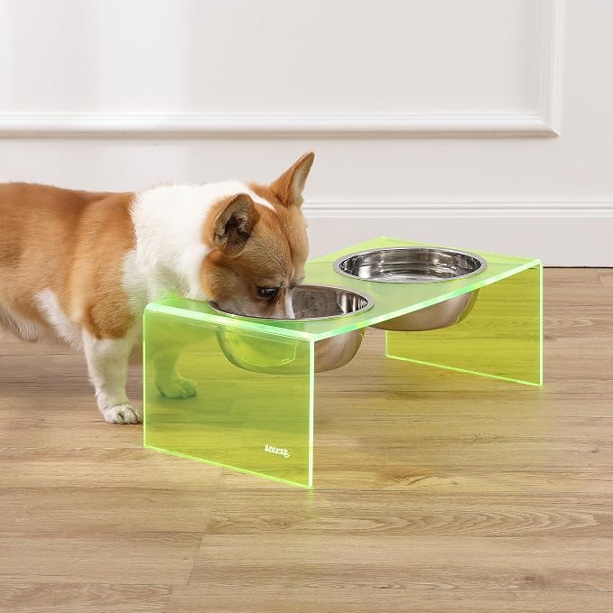 DBL2001G Keaton 7.5" Medium/Large Modern Acrylic Rectangular Elevated Pet Feeder with 54oz 2-Stainless Steel Bowls, Green/Chrome