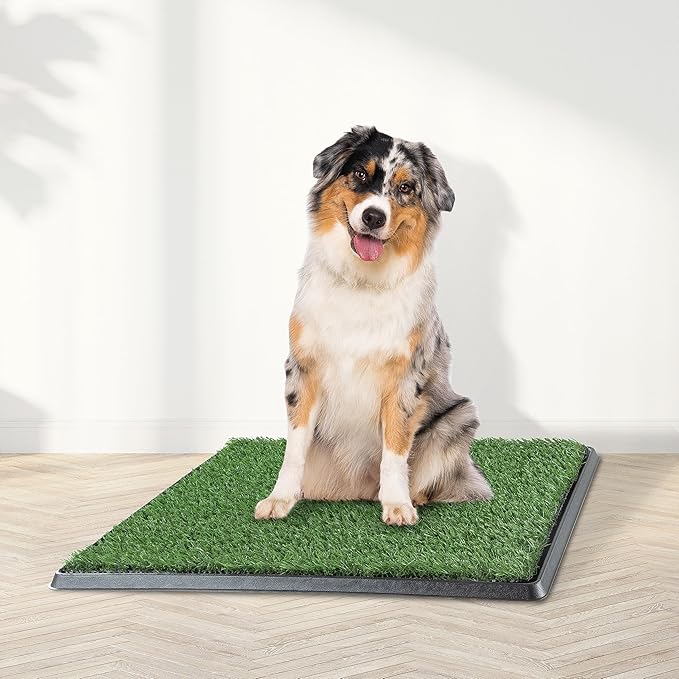 Artificial Grass Puppy Pee Pad for Dogs and Small Pets - 20x25 Reusable 4-Layer Training Potty Pad with Tray - Dog House and Pet Supplies by PETMAKER | Reusable 4-Layer Turf Pads for Dogs with Tray, Indoor and Outdoor Fake Grass Potty, Pet Supplies
