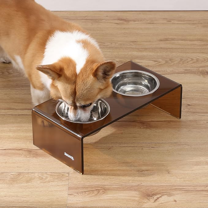 DBL2000D Keaton 5" Small/Medium Modern Acrylic Rectangular Elevated Pet Feeder with 20oz 2-Stainless Steel Bowls, Amber/Chrome