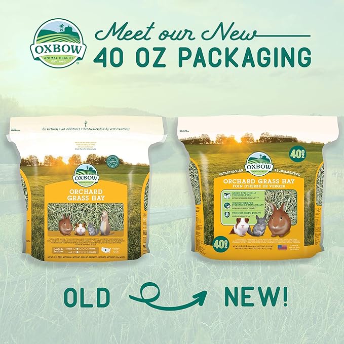 Oxbow Orchard Grass Hay for Small Pets – All-Natural Long Strand Fiber Hay for Rabbits,Guinea Pigs,Chinchillas,and Hamsters – Supports Digestive Health and Enrichment-– 40 oz Bag,(Pack of 2)