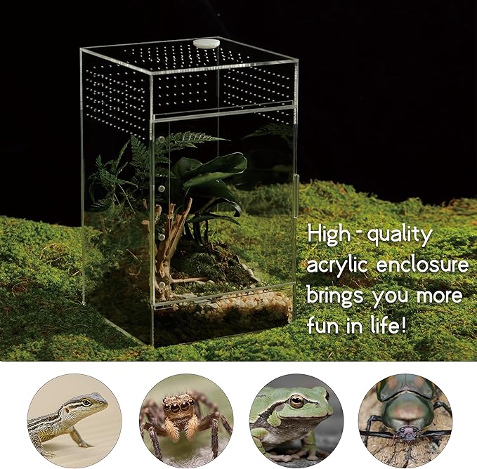 Acrylic Terrarium for Reptiles & Spiders – Small/Medium/Large Leak-Proof Enclosure (Horizontal/Vertical) | Ideal for Tarantulas, Jumping Spiders, Frogs & Geckos(Large, Vertical)