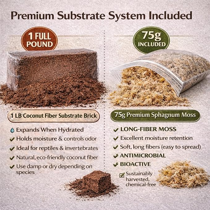 Tarantula Rehousing Supply Kit - Beginner Tarantula Setup Supplies - Substrate, Moss, Plant & Water Dish - Spider Habitat Terrarium Kit