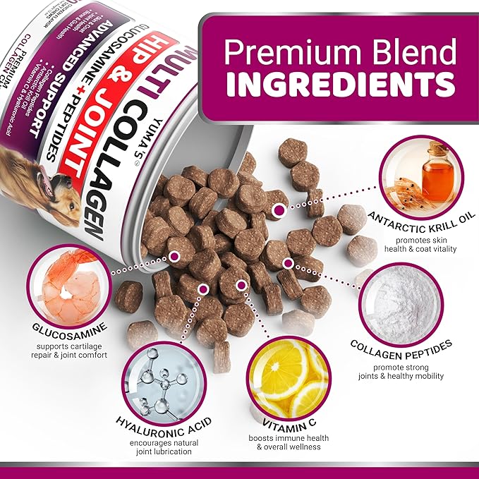 YUMA'S Advanced Collagen for Dogs - 170 Chews - Hip and Joint Supplement - Multi-Collagen Peptides - Skin & Coat Health, Cartilage & Mobility Support - Glucosamine, Vitamin C, Hyaluronic Acid