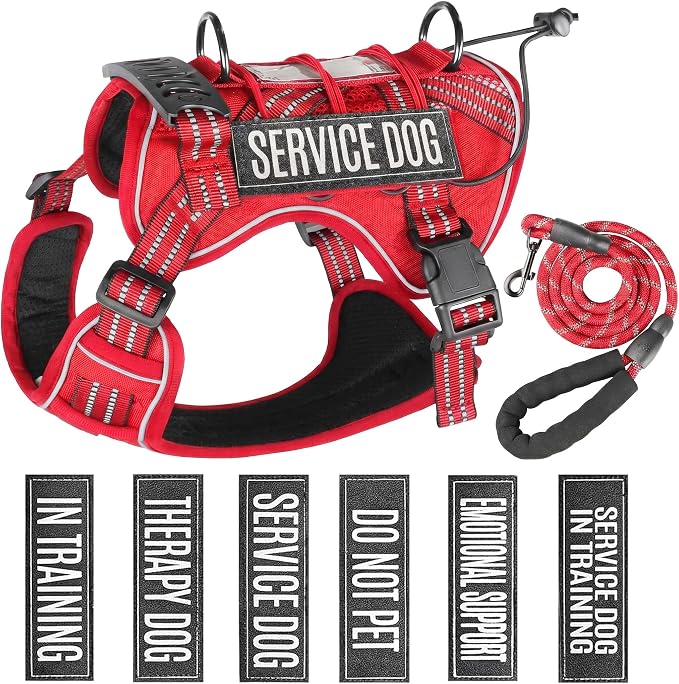 Service Dog Tactical Vest Harness and Leash Set Large Sized Dog Emotional Support- Tactical Dog Harness Training Collar with Name (Red, L)