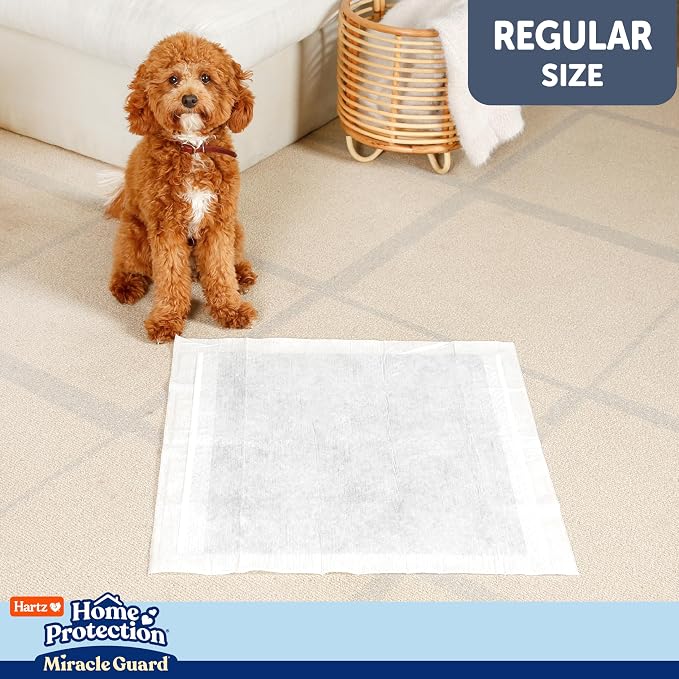 Hartz Miracle Guard Dog and Puppy Dog Pads Max Absorbency 24 Hour Use Odor Eliminating No Leaks, Regular Size 50 Count (Pack of 3)