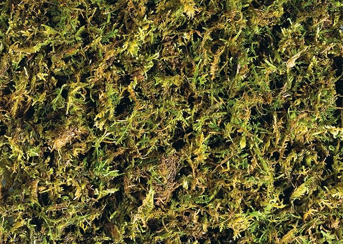 Exo Terra Forest Plume Moss, 7 Quarts, 2-Pack