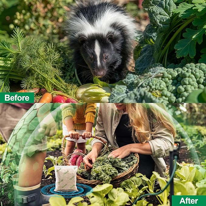 36 Pack Peppermint Skunk Repellent, Natural Raccoon Repellent Keep Skunks Out from Outdoor Yard Under House Attic Garden, Long-Lasting Protection, Safe for Dogs and Children, Green