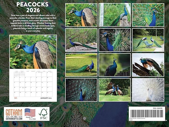 Peacock Calendar 2026 Wall Monthly Peacocks Gifts For Peacock Lovers Women Men | American Made In The USA