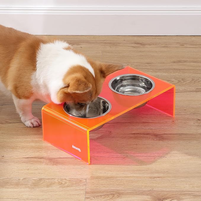 DBL2000E Keaton 5" Small/Medium Modern Acrylic Rectangular Elevated Pet Feeder with 20oz 2-Stainless Steel Bowls, Pink/Chrome