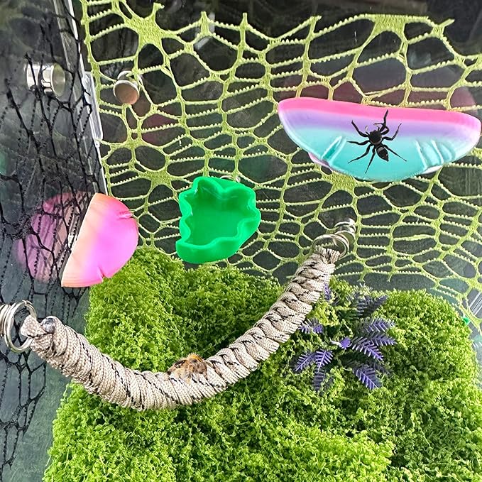 2 PCS Jumping Spider Feeding Dish, Leaf Shape Tiny Food Dishes Water Bowl with 1PC Tweezer and 1PC Dropper for Jumping Spider, Tarantula and Other Small Pets