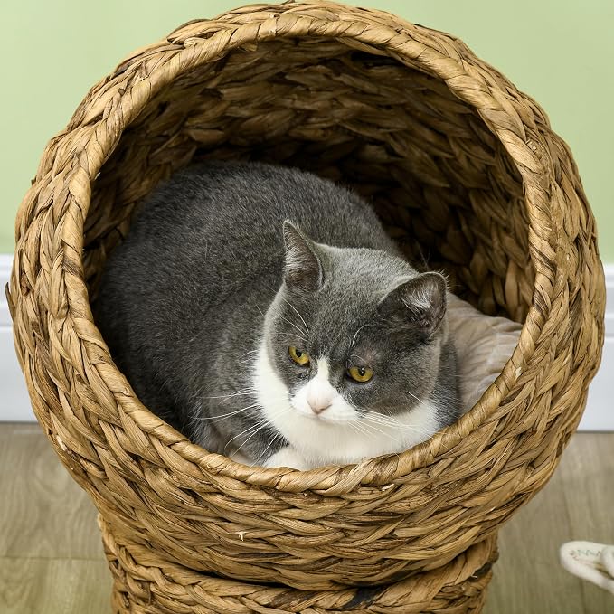 PAWHUT Egg Chair Rattan Elevated CAT Bed with Removable Cover, 17-in, Brown | Soft Cushion & Egg Chair Shape, Basket Bed Kitty House with Stand, Raised Wicker House