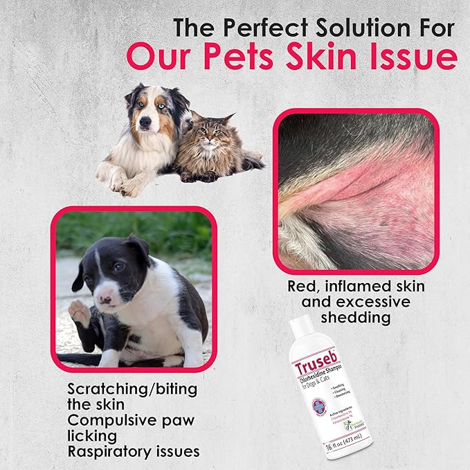 Truseb Chlorhexidine Shampoo for Dogs Cats & Horses with Aloe Vera - Medicated Antibacterial Antifungal Ketoconazole Dog Shampoo and Conditioner -Skin Irritation, Hot Spots, Redness Relief (16 oz)