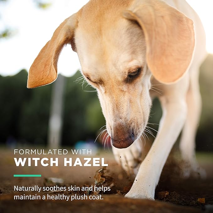 Wet Ones for Pets Extra Gentle Dog Wipes with Witch Hazel - Fragrance-Free, Hypoallergenic Pet Grooming Wipes for Snout, Eye, and Ear Areas, Sensitive Skin, 30 Count - 8 Pack