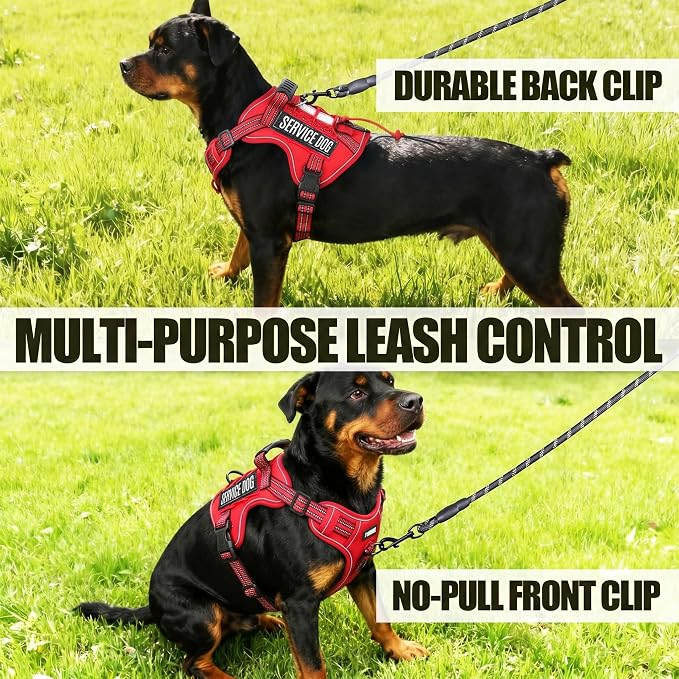 Service Dog Tactical Vest Harness and Leash Set Large Sized Dog Emotional Support- Tactical Dog Harness Training Collar with Name (Red, M)