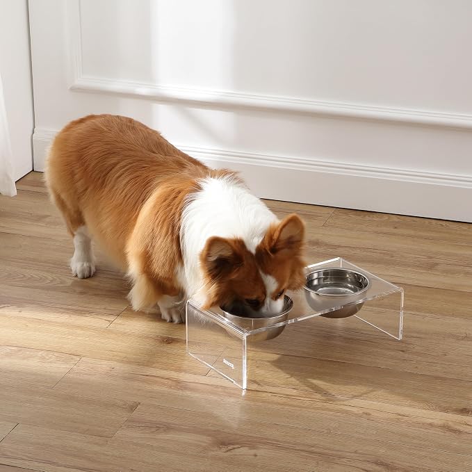 DBL2000A Keaton 5" Small/Medium Modern Lucite Rectangular Elevated Pet Feeder with 20oz 2-Stainless Steel Bowls, Clear/Chrome