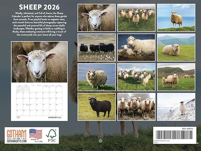 Sheep Calendar 2026 Monthly Wall Calender 12 Month | American Made In The USA