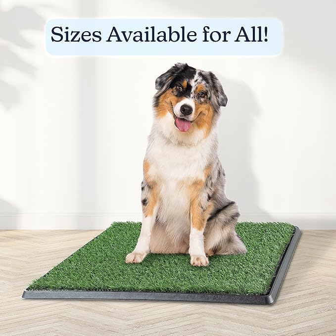 Artificial Grass Puppy Pee Pad for Dogs and Small Pets - 20x25 Reusable 4-Layer Training Potty Pad with Tray - Dog House and Pet Supplies by PETMAKER | Reusable 4-Layer Turf Pads for Dogs with Tray, Indoor and Outdoor Fake Grass Potty, Pet Supplies