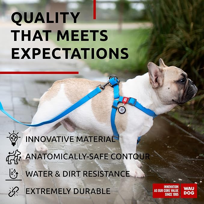 WAUDOG Waterproof Adjustable Dog Harness - Heavy Duty with Durable Metal Clasp and QR Dog Tag - Boy & Girl (20-32in Blue)